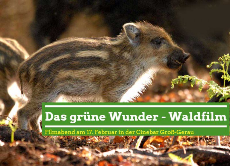 Waldfilm in der Cinebar
