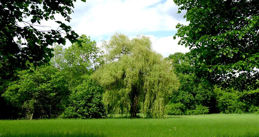 Fasanerie Groß-Gerau