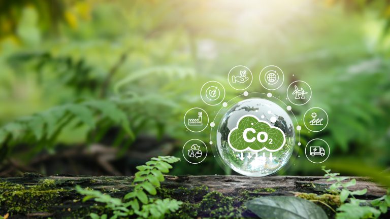 Klimafreundlich handeln: Der CO₂-Rechner zeigt, wo Du stehst