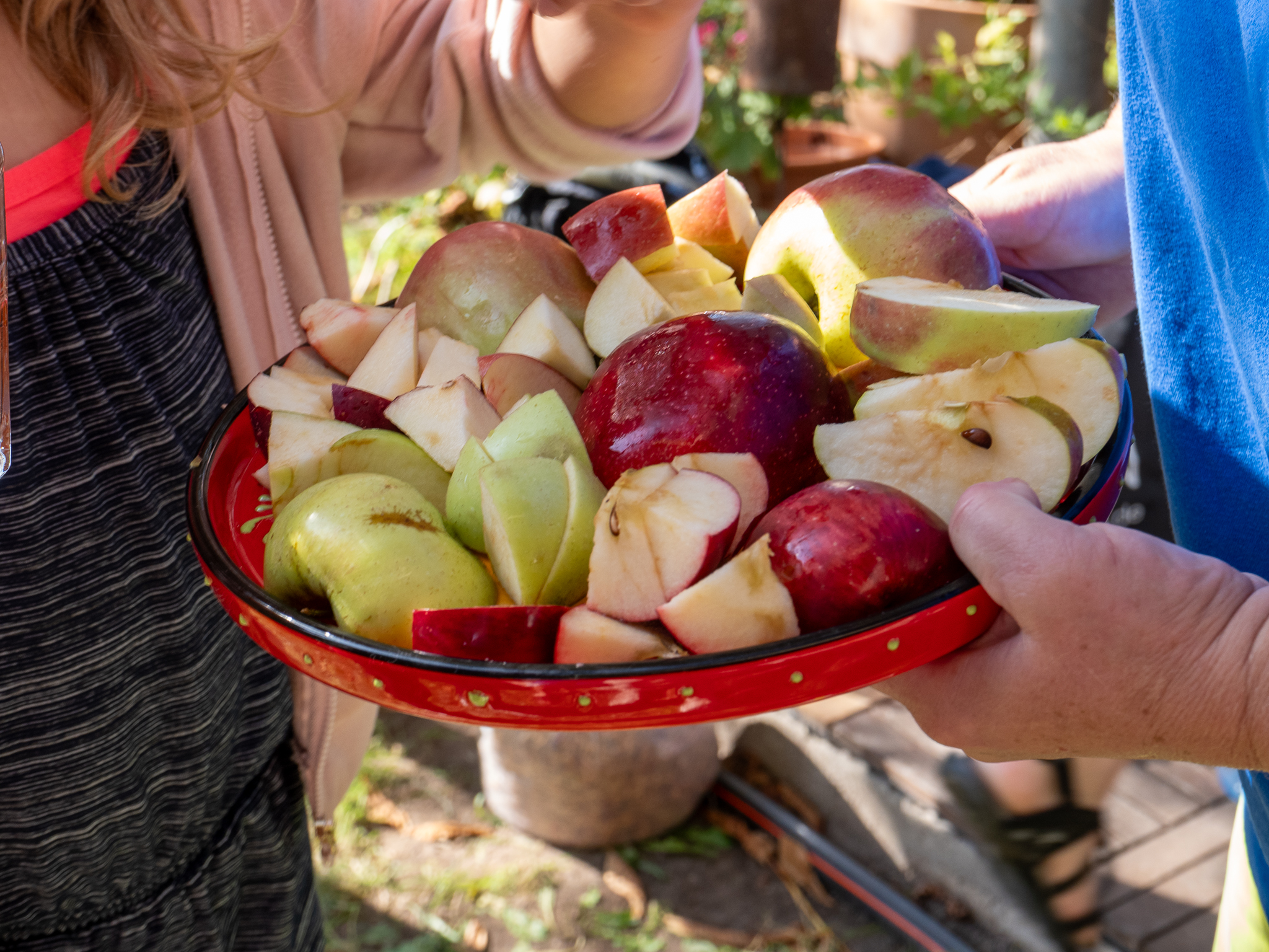 Köstliche Auswahl verschiedener Äpfel von einer Streuobstwiese
