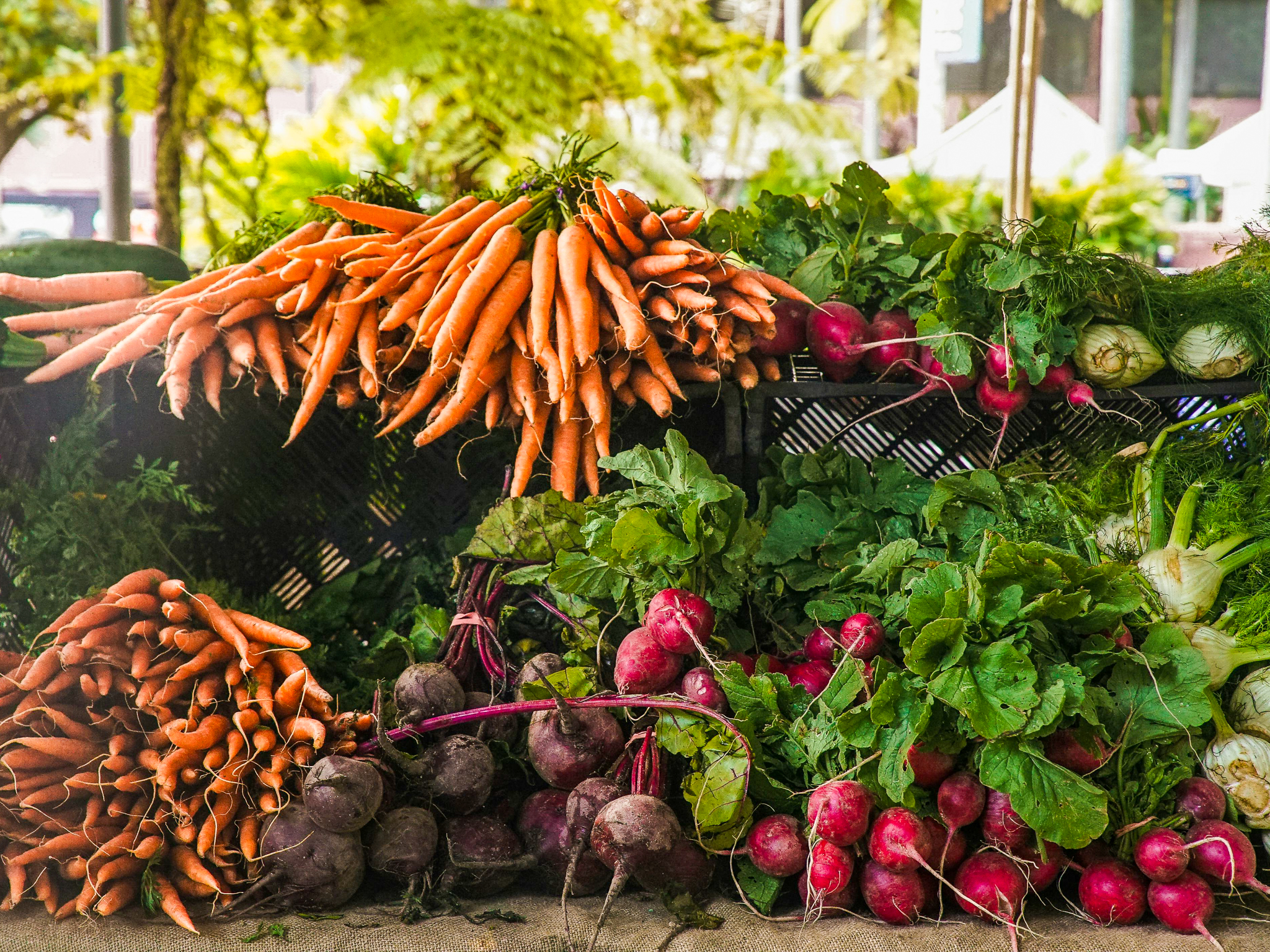 Gesundes Essen für alle. Foto: pexels-wendywei-1656663-2