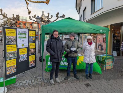 Wahlkampfstand Grüne Groß-Gerau