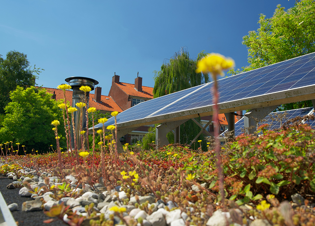 Energiewende. Foto: Adobe Stock: René Notenbomer