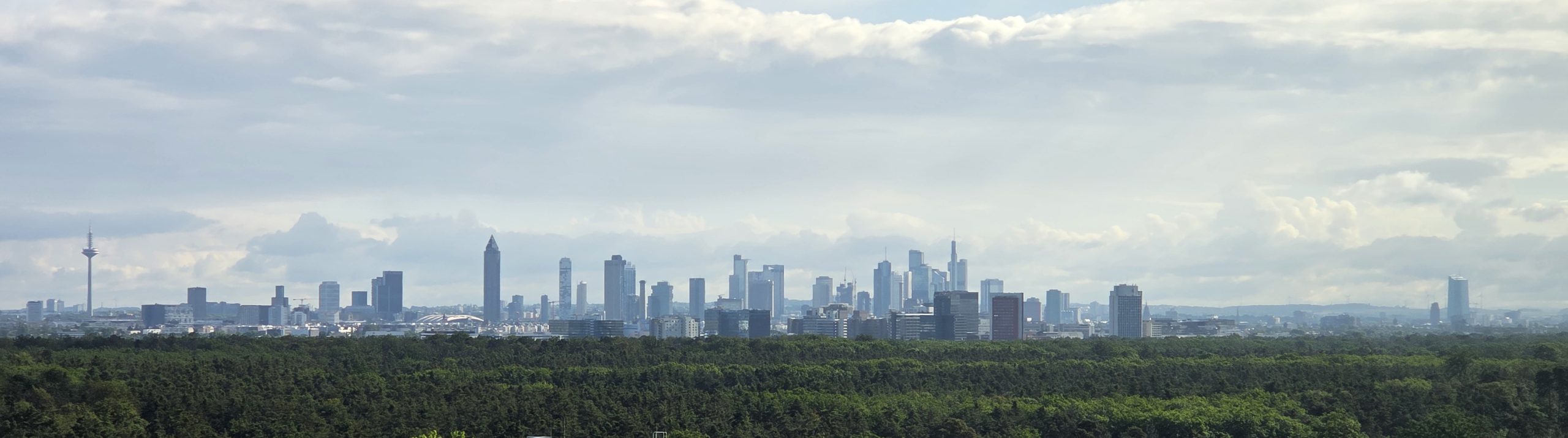 Frankfurt Skyline. Foto: Anastasia Dietz