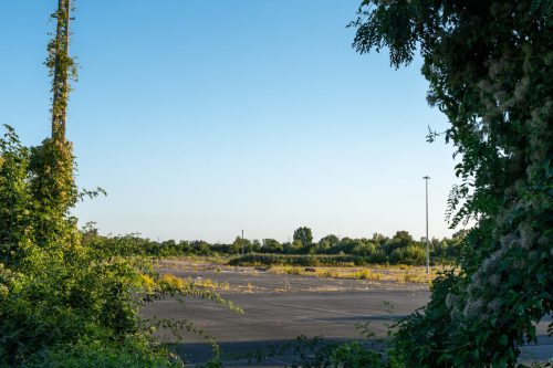 Das sog. Altmann-Gelände - der Lausböhl, ein möglicher Standort für ein Rechenzentrum?