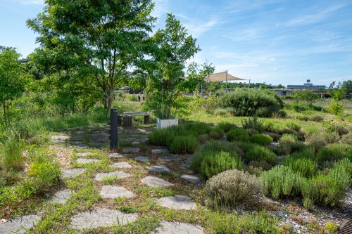 Alnatura Darmstadt: Gartenanlage
